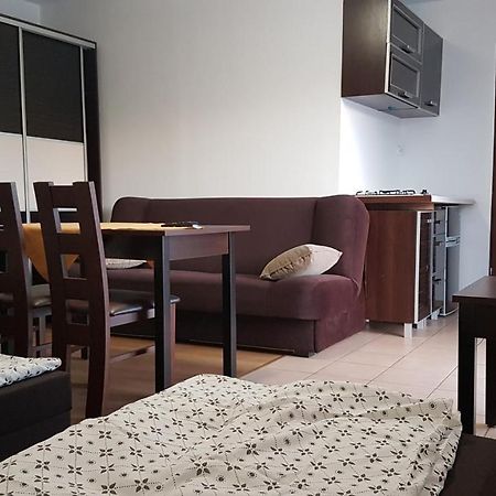 E&S_ Apartament Milicz Eksteriør billede